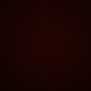 Meet your Posher, Cinthya